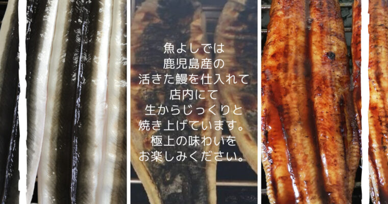 魚よしの鰻