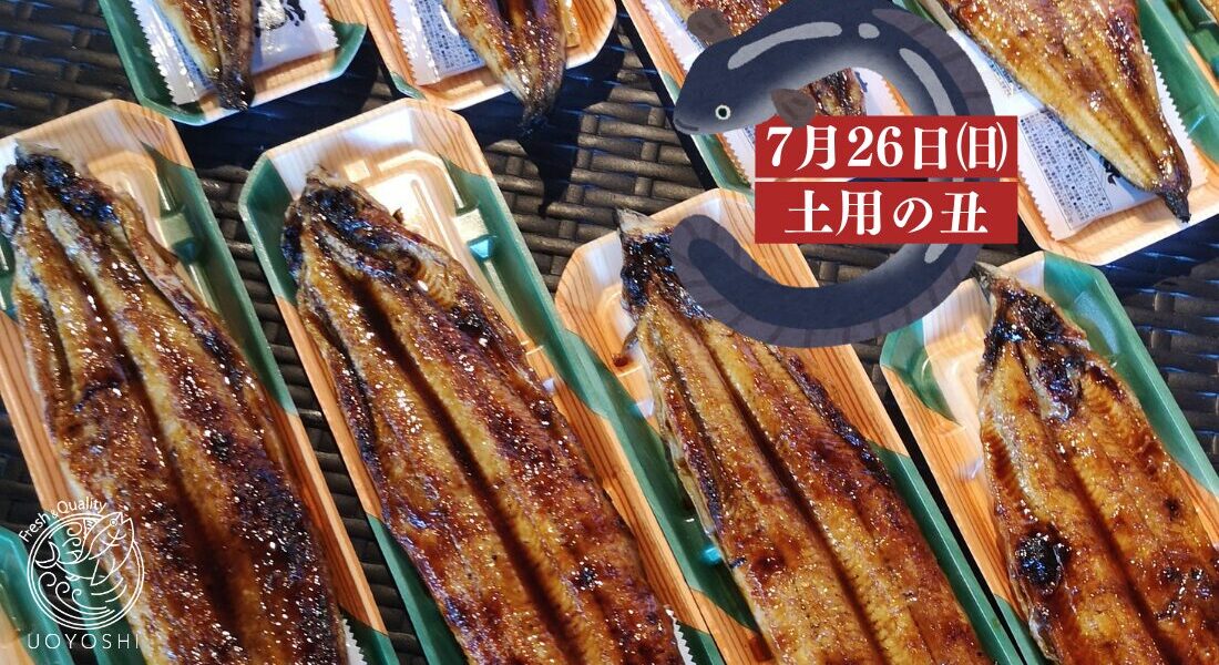 土用の丑の日｜魚よしの鰻