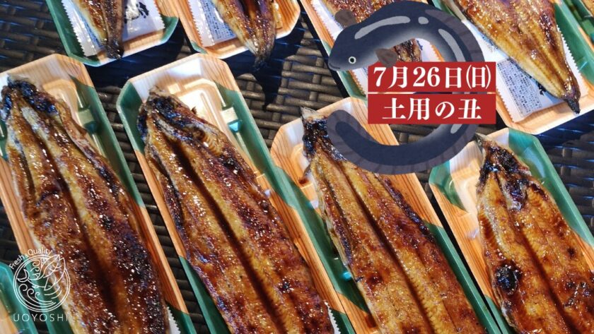 土用の丑の日｜魚よしの鰻