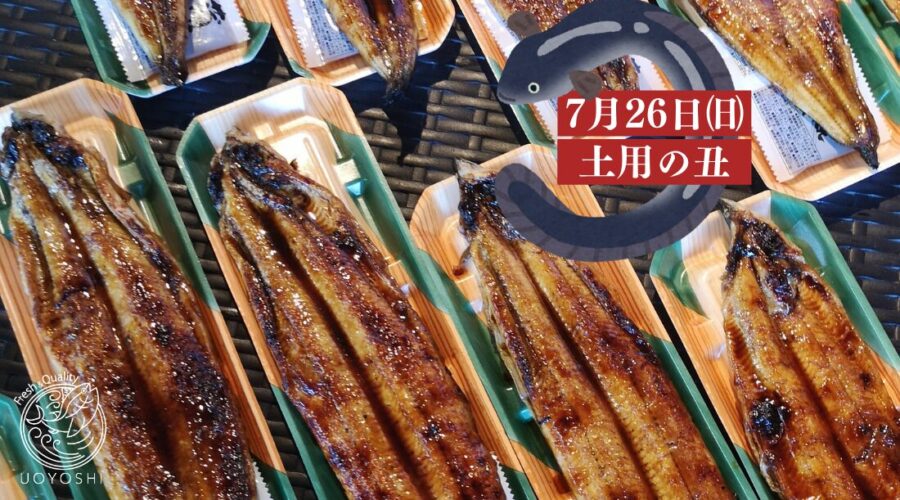 土用の丑の日｜魚よしの鰻